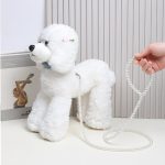 Pearl kis kutyapóráz