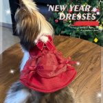 Téli stílusú gyapjú újévi szoknya tapadószirmokkal